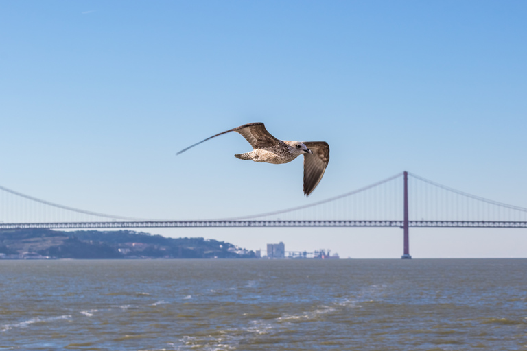 Lisbon 2-Hour Tagus River Sailing Cruise