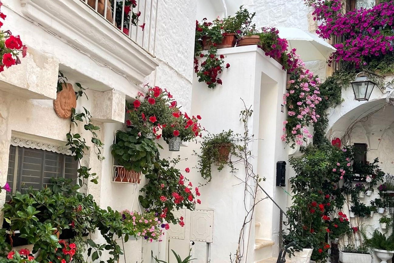 Puglia: Locorotondo, Cisternino, and Ostuni Private Tour Authentic Routes with Castellana Grotte Pick-Up