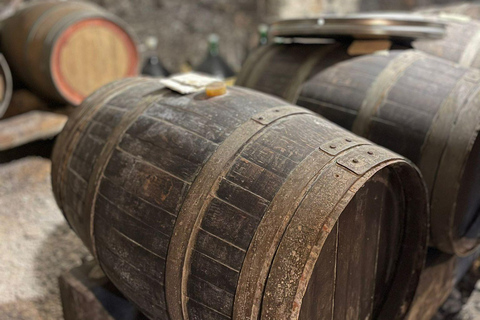 Mozzarella Gnocchi and Tiramisù Workshop in Amalfi Coast