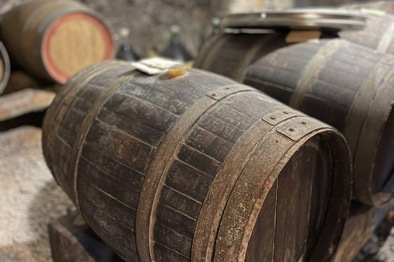 Mozzarella Gnocchi and Tiramisù Workshop in Amalfi Coast