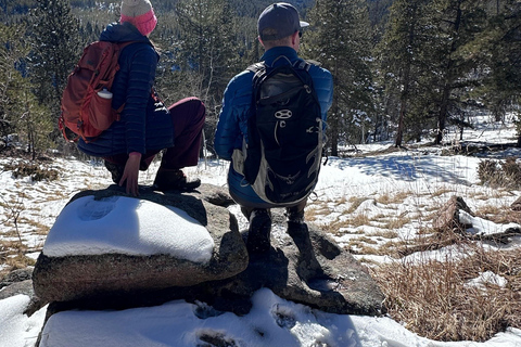 Denver: Guidad vandring och utforskning av bergsstaden