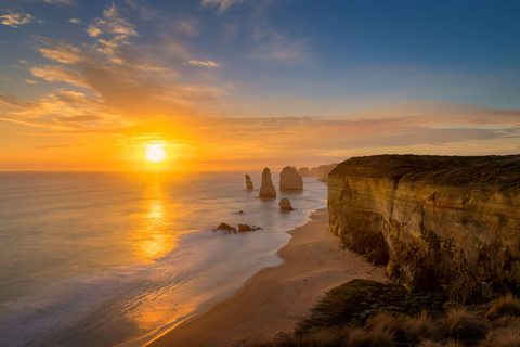 Melbourne: Jednodniowa wycieczka Great Ocean Road z kangurami i koalami