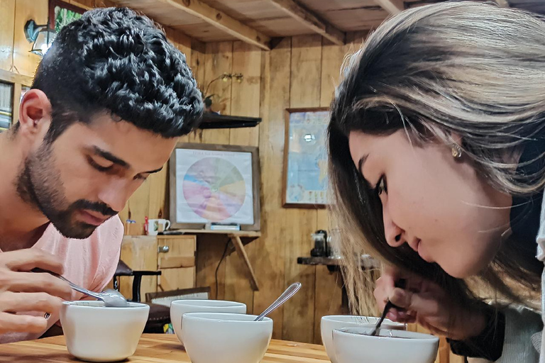 Boquete, Chiriquí: Irresistible aromas and flavors with coffee Boquete, Chiriquí: Dive into the world of coffee