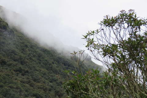 Quito: Full Day Trip to Papallacta Hot springs and The Area