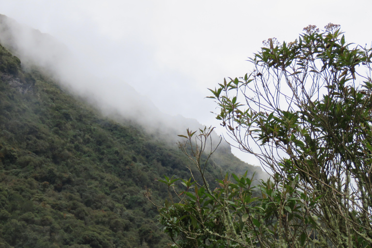 Quito: Dagsutflykt till Papallacta Hot springs och området