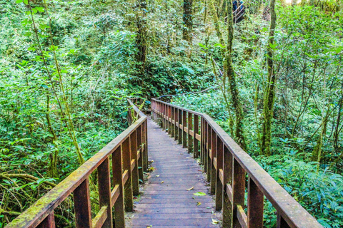 Chiang Mai: Excursión a Doi Inthanon, Cascadas y Aldeas Tribales