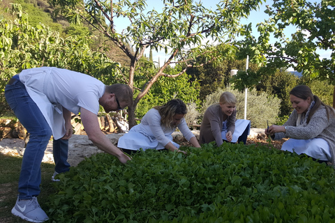 Corso di cucina tradizionale dalmata da Dubrovnik