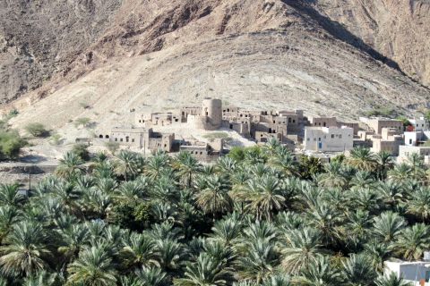 Grand Canyon dell'Oman: tour di 1 giorno da Mascate