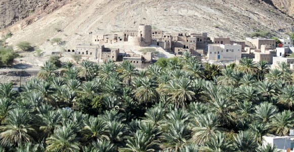 Oman&#39;s Grand Canyon: Full-Day Tour from Muscat