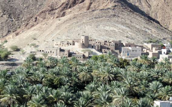 Oman's Grand Canyon: Ganztägige Tour von Muscat