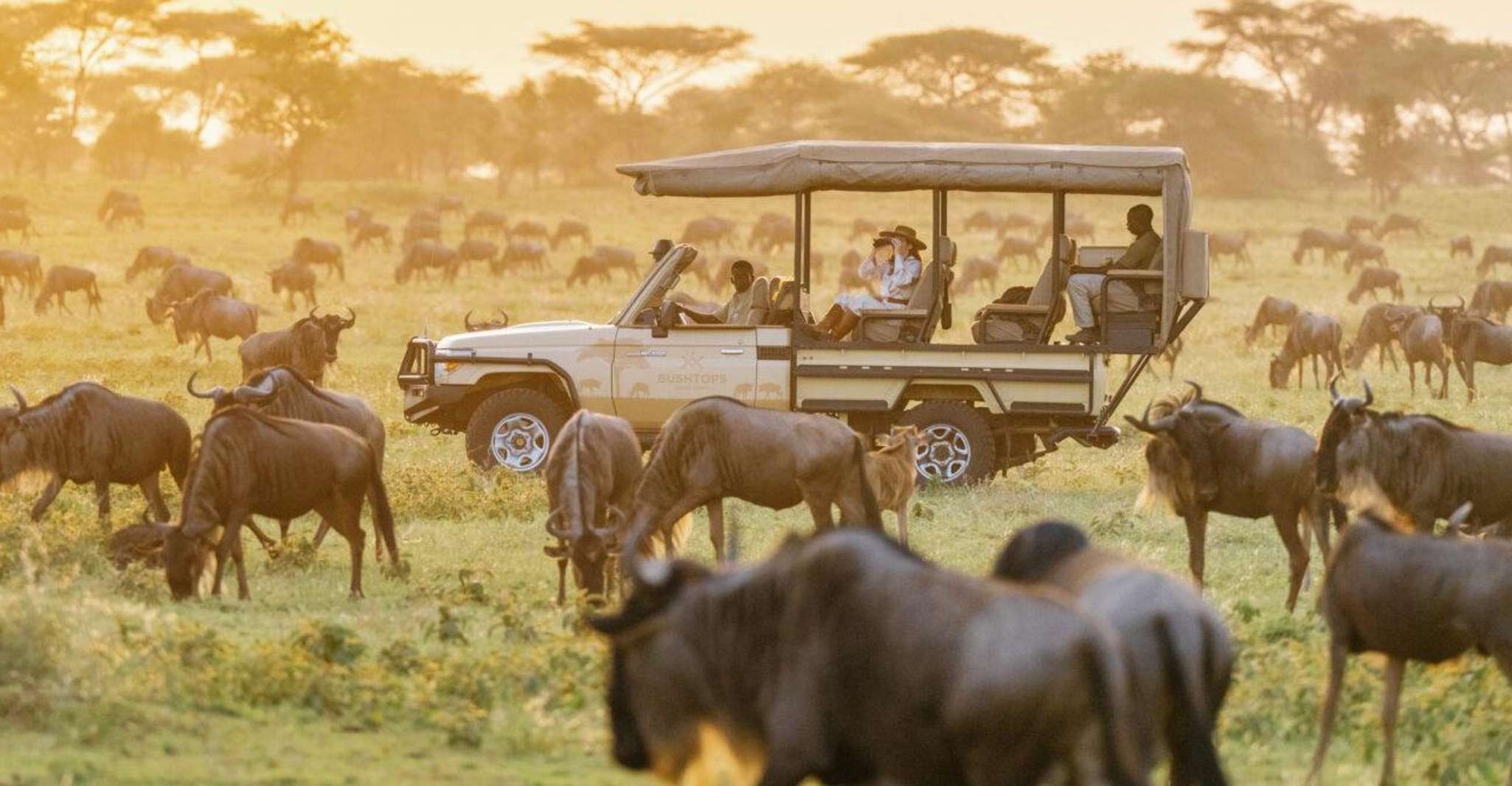 11 Days Best Kenya Budget Camping Safari Package - Housity