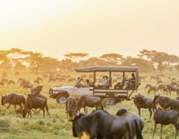11 Days Best Kenya Budget Camping Safari Package - Housity