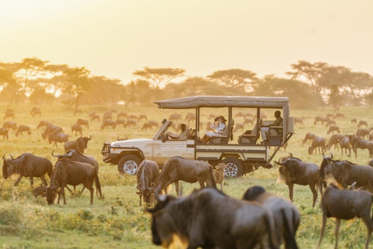 3 Days Masai Mara Flying Safari on a 4x4 Land Cruiser Jeep 3 Days Masai Mara Flying Safari - Budget Accommodation