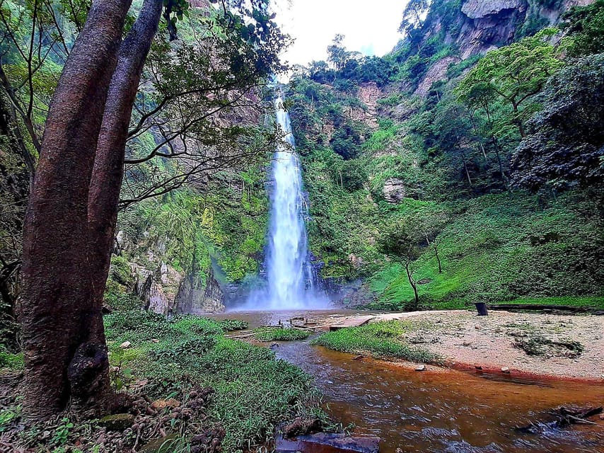 Monte Afadja: Aventura en el monte Afadja y cataratas de Wli | GetYourGuide