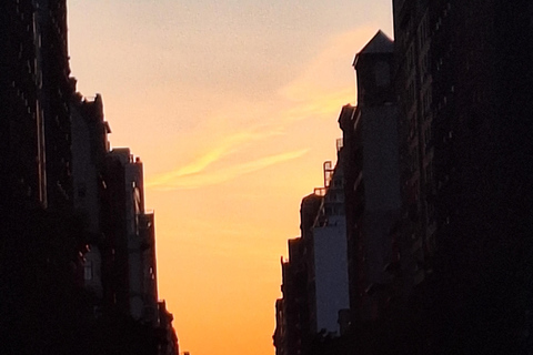 NYC: Tour in Pedicab di Central Park