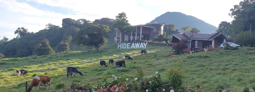San José : 2 jours d'aventure rurale, balade à cheval et dégustation de fromages artisanaux