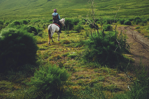 Kathmandu: Horseback Riding Tour with Picnic and Guide