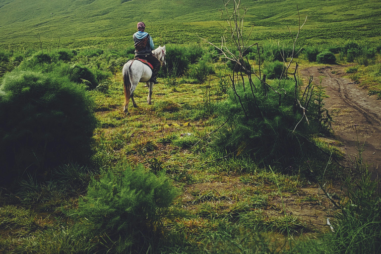 Kathmandu: Horseback Riding Tour with Picnic and Guide
