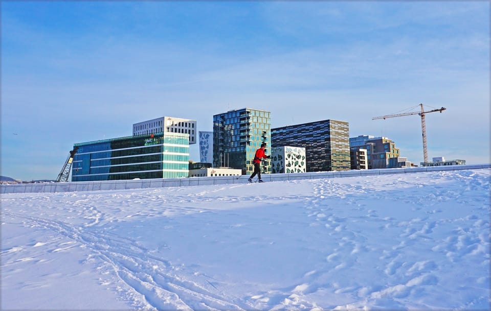 Stadswandelingen Oslo De stad van contrasten GetYourGuide