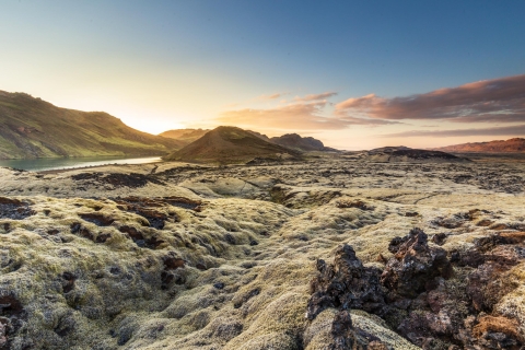 Ab Reykjavík: Islandpferd-Reiten in den Lavafeldern