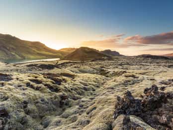 Ab Reykjavík: Islandpferd-Reiten in den Lavafeldern Ab Reykjavík: Islandpferd-Reiten in den Lavafeldern