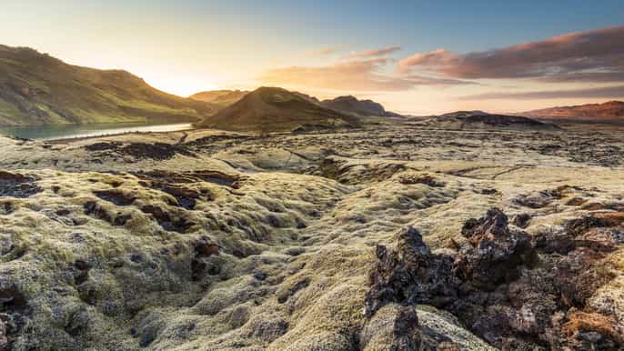 icelandic horse riding tour in lava fields