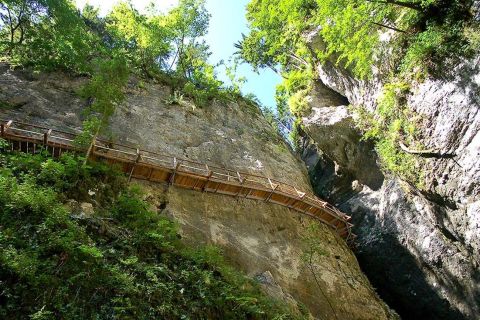 From Bled: Half-Day Pokljuka Gorge Trail Hike