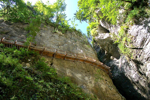 Från Bled: Halvdagsvandring på Pokljuka Gorge Trail Trail