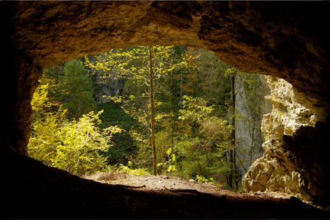 Van Bled: Half-dag Pokljuka Gorge Trail Wandeling