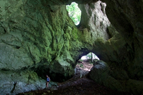 Van Bled: Half-dag Pokljuka Gorge Trail Wandeling