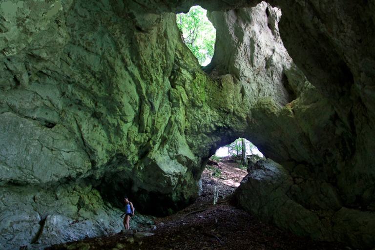 Van Bled: Half-dag Pokljuka Gorge Trail Wandeling