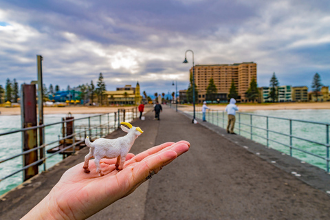 Adelaide: Private Walking Tour with a Local 6 Hours Tour