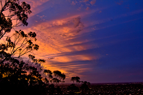 Adelaide: Private Walking Tour with a Local 6 Hours Tour