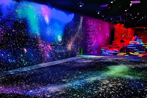 Tokyo: Private Tour: TeamLab, Pokémon & Skytree Customized B itinerary full day customizable Tokyo sightseeing.