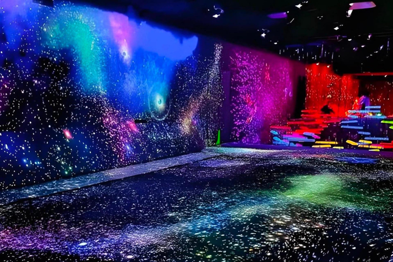 Tokyo: Private Tour: TeamLab, Pokémon & Skytree Customized B itinerary full day customizable Tokyo sightseeing.