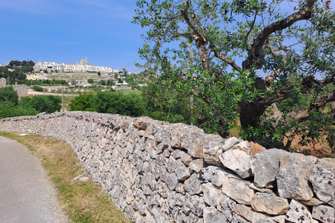 e-bike ring tour between Locorotondo and Martina Franca e-bike tour Locorotondo, Martina Franca and visit to a dairy