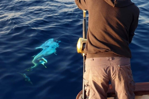 Kotor: Fishing Experience with 100% guaranteed catch