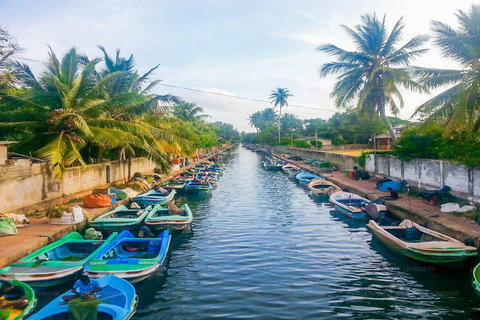 Negombo Stadtführung : Fischmarkt und Bootsfahrt auf dem holländischen Kanal