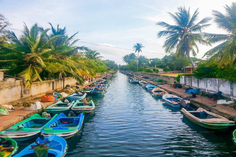 Visite de la ville de Negombo : Marché aux poissons et tour en bateau sur le canal hollandais