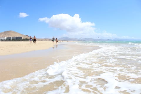 Fuerteventura Sud : visite d’une journée
