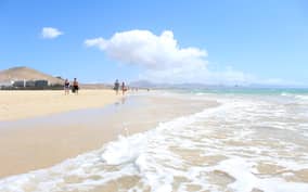 - Canarie.it