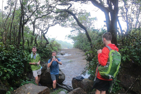 Knuckles Mountain Watervallen Luipaardpad Trek vanuit Kandy