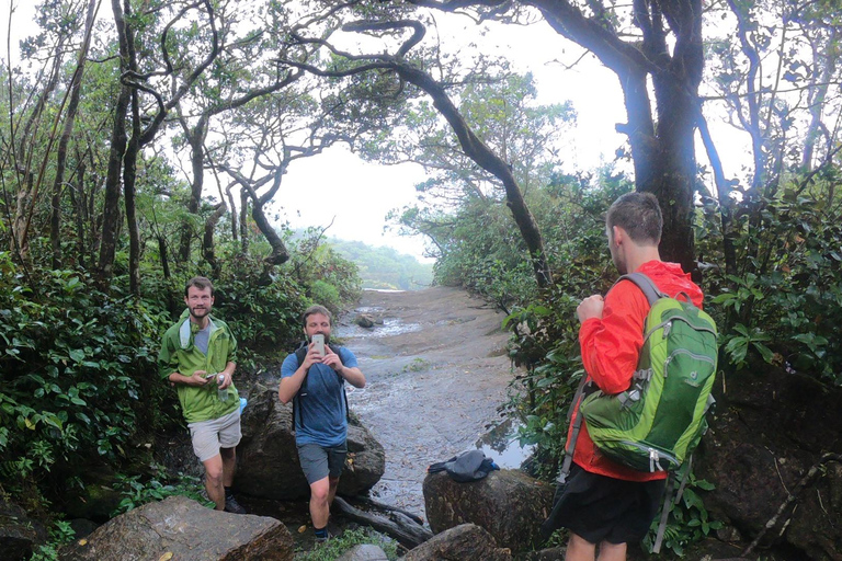 Knuckles Mountain Watervallen Luipaardpad Trek vanuit Kandy