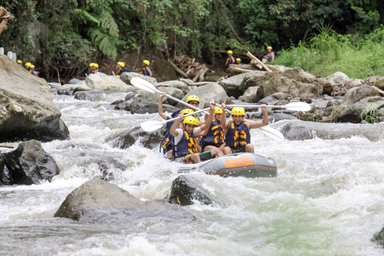 Bali: Wildwasserrafting Ayung River mit MittagessenWildwasserrafting mit Mittagessen