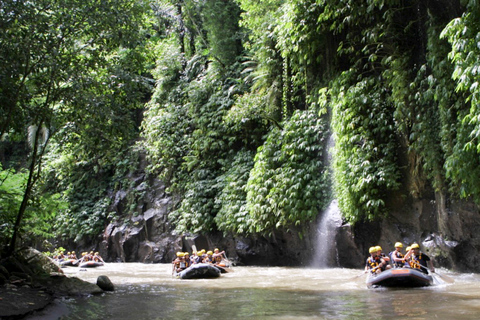 Bali: Wildwasserrafting Ayung River mit MittagessenWildwasserrafting mit Mittagessen