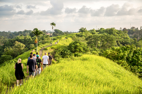 Ubud: Excursão a Pé com Almoço 3h