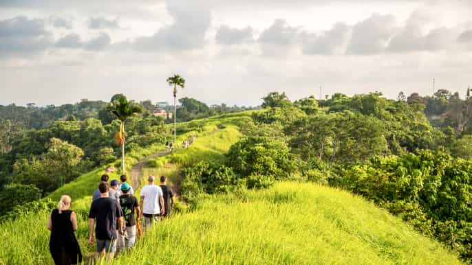 ubud 3stündiger rundgang mit mittagessen