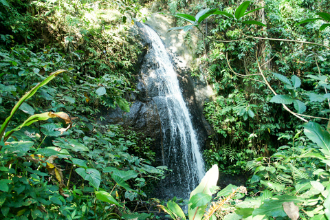 Ubud: Excursão a Pé com Almoço 3h