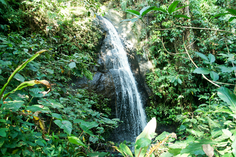 Ubud: 3-Hour Walking Tour with Lunch