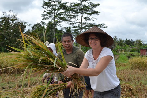 Ubud: 3-Hour Walking Tour with Lunch